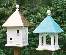 Birding