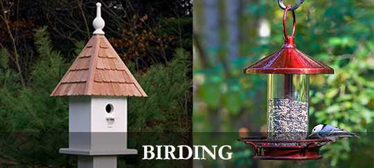Birding